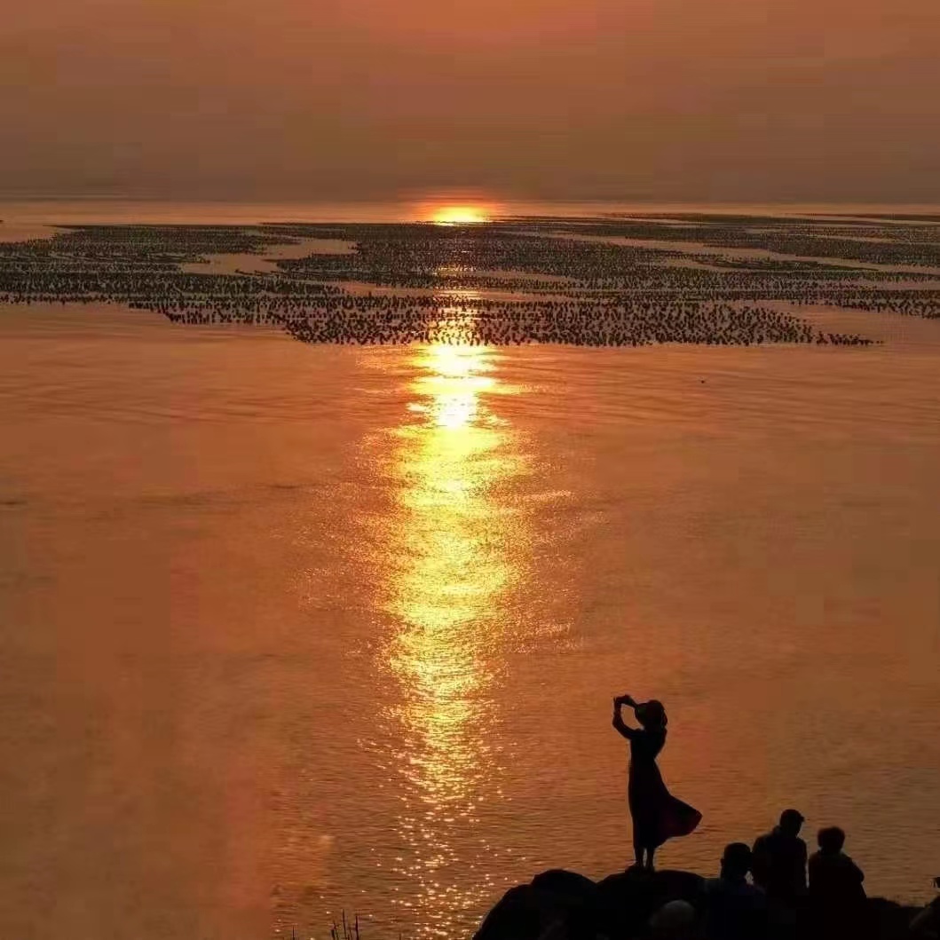 海之恋.jpg